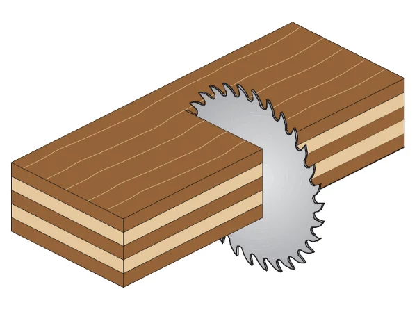 2026_06_13_557192